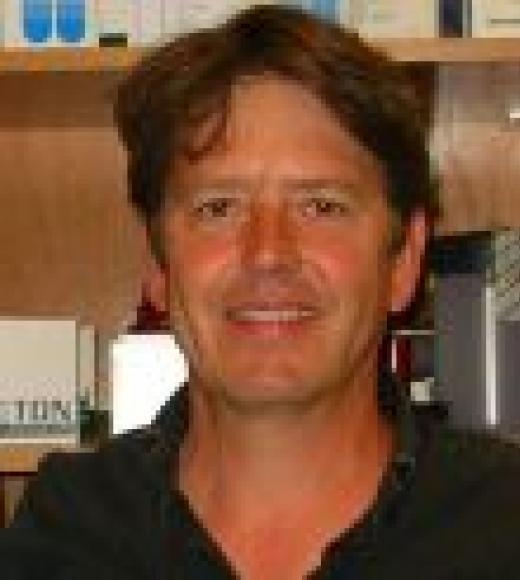 Christoph Vogel